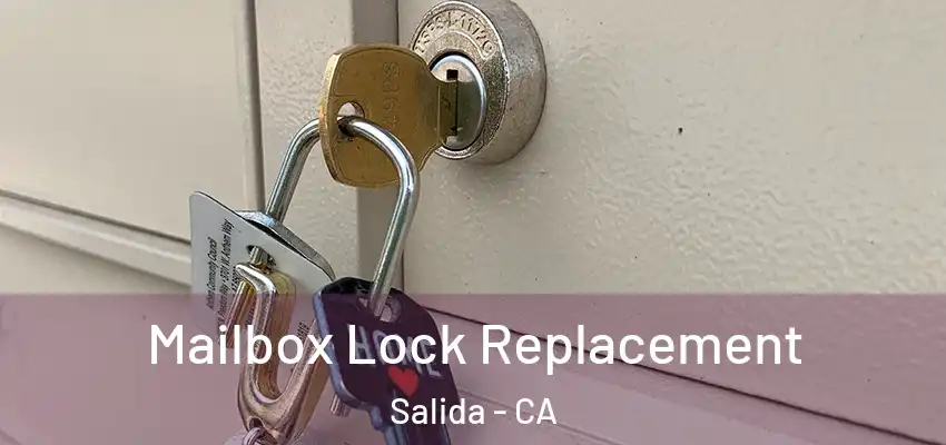  Mailbox Lock Replacement Salida - CA