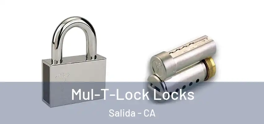  Mul-T-Lock Locks Salida - CA